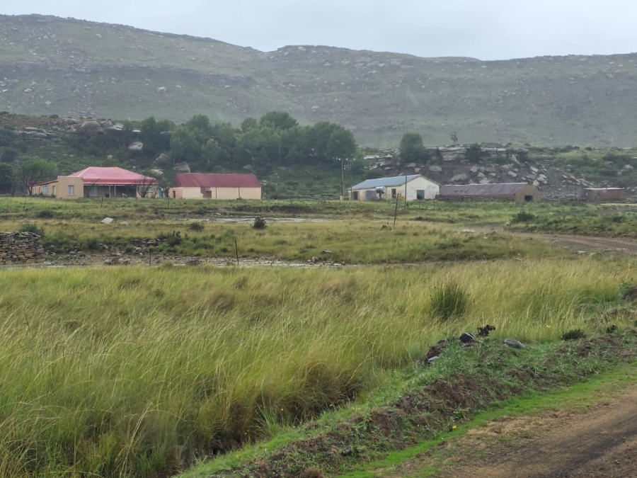 4 Bedroom Property for Sale in Jamestown Eastern Cape